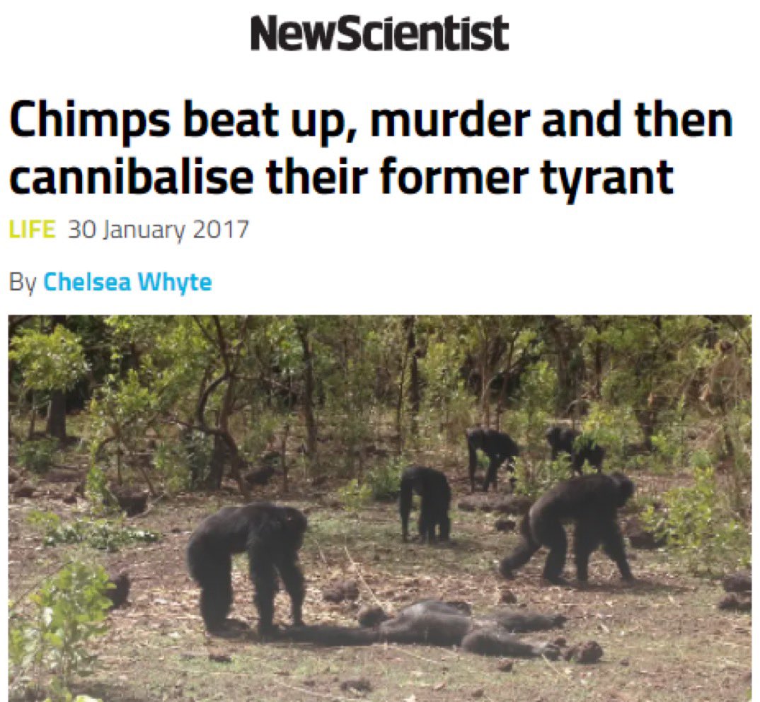 Well, there goes ANY chance at future Committee assignments for them in Congress. I’ll hold my applause for chimps who seek to create change within the system.