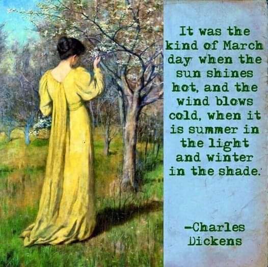 MeganRural's tweet image. Felt like this today....