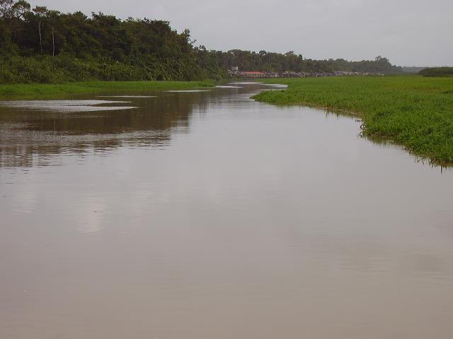 ackapekape's tweet photo. Sequias e inundaciones: impactos del cambio climático en comunidades waraos del Orinoco #KapeObserva 
#DiaMundialDelClima 
#CambioClimatico https://t.co/5IB4TVse1G