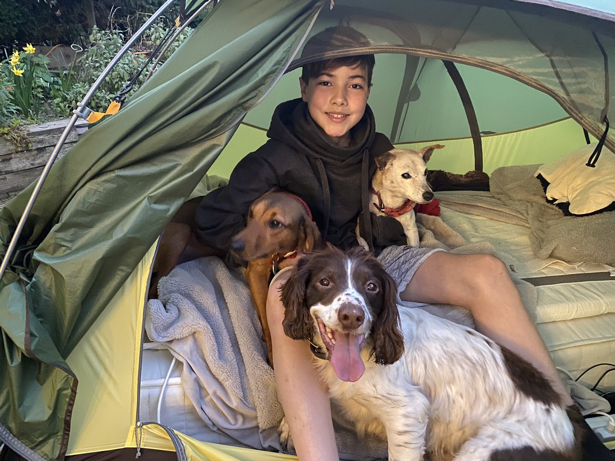 AshleysSleepOut's tweet photo. Great to have 6 friends camping out with me tonight! @AshleysSleepOut One year in the tent celebrations raising money for abandoned dogs @Paws2RescueUK @TheEllenShow https://t.co/YquFEAK2Us