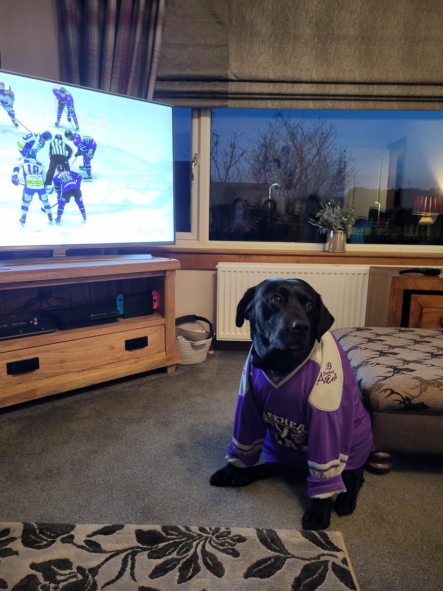 KmurdochK's tweet image. @ClanTVLive Oor Alfie enjoyingvthe game with Arran and Anna in Sunny Coylton #ClanTVLive