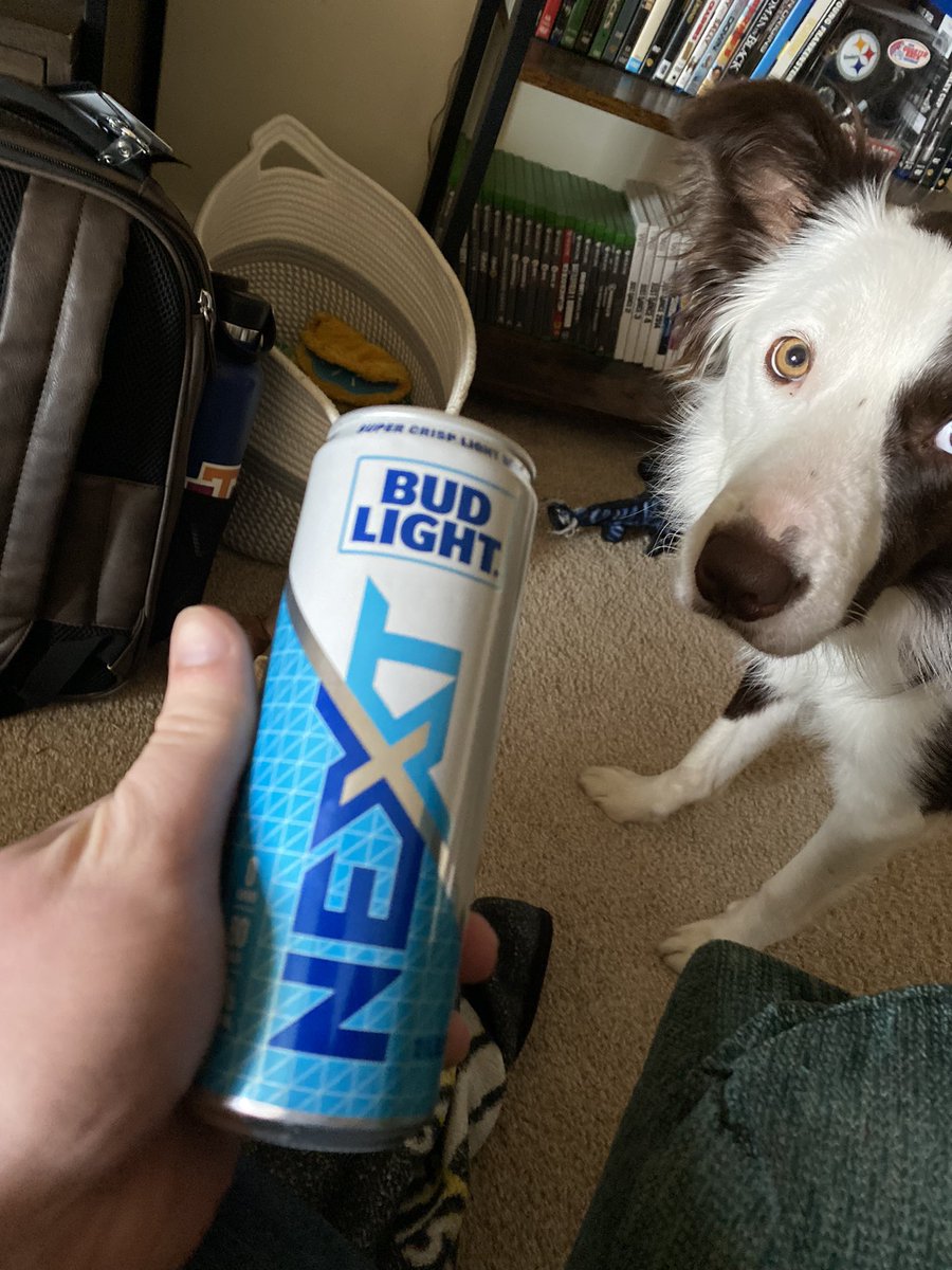 DangerouslyScot's tweet image. About to see if it’s possible to make a beer without carbs. 

My hopes aren’t high lol