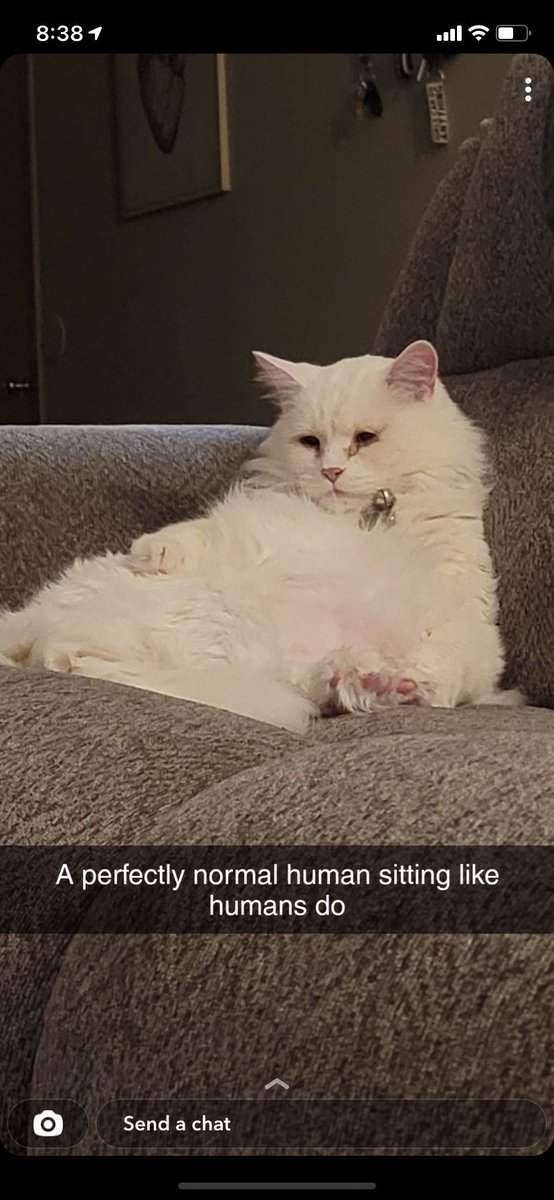 chapoopa's tweet photo. Soul Eater sits like a man @KeithHabs https://t.co/l6tkwADXPU