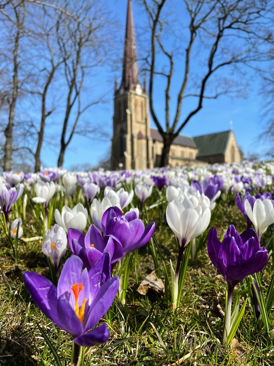 chaosmacken's tweet image. 🥵👑🌴