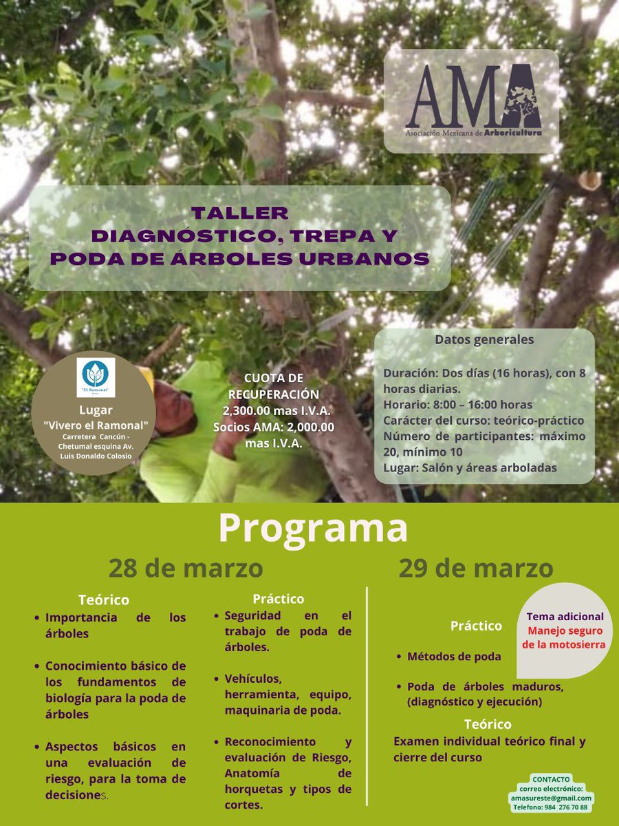 AmaSureste tweet media