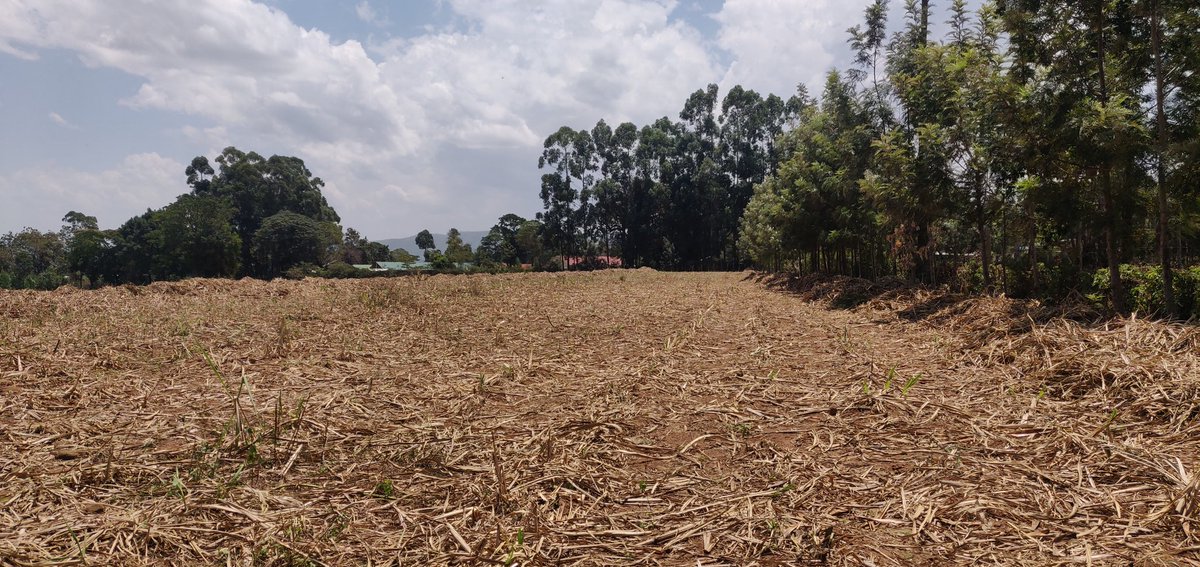 Cathy Cole Ltd tweet media