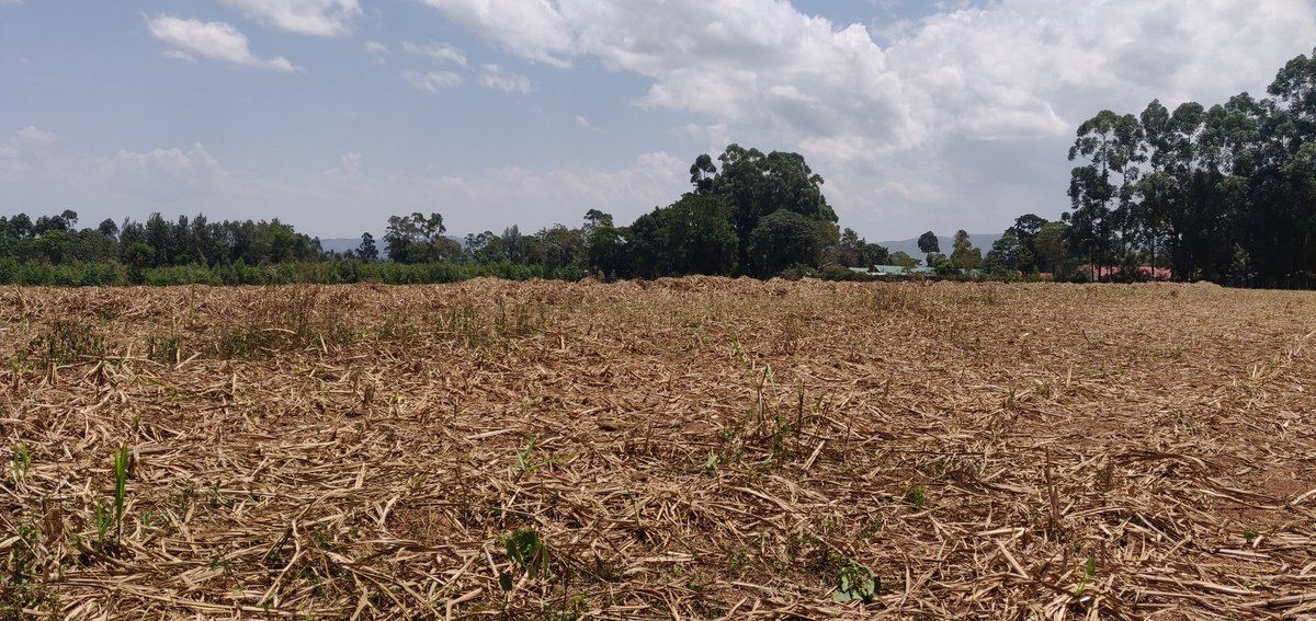 Cathy Cole Ltd tweet media