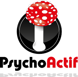 L'équipe de Psychoactif tweet media