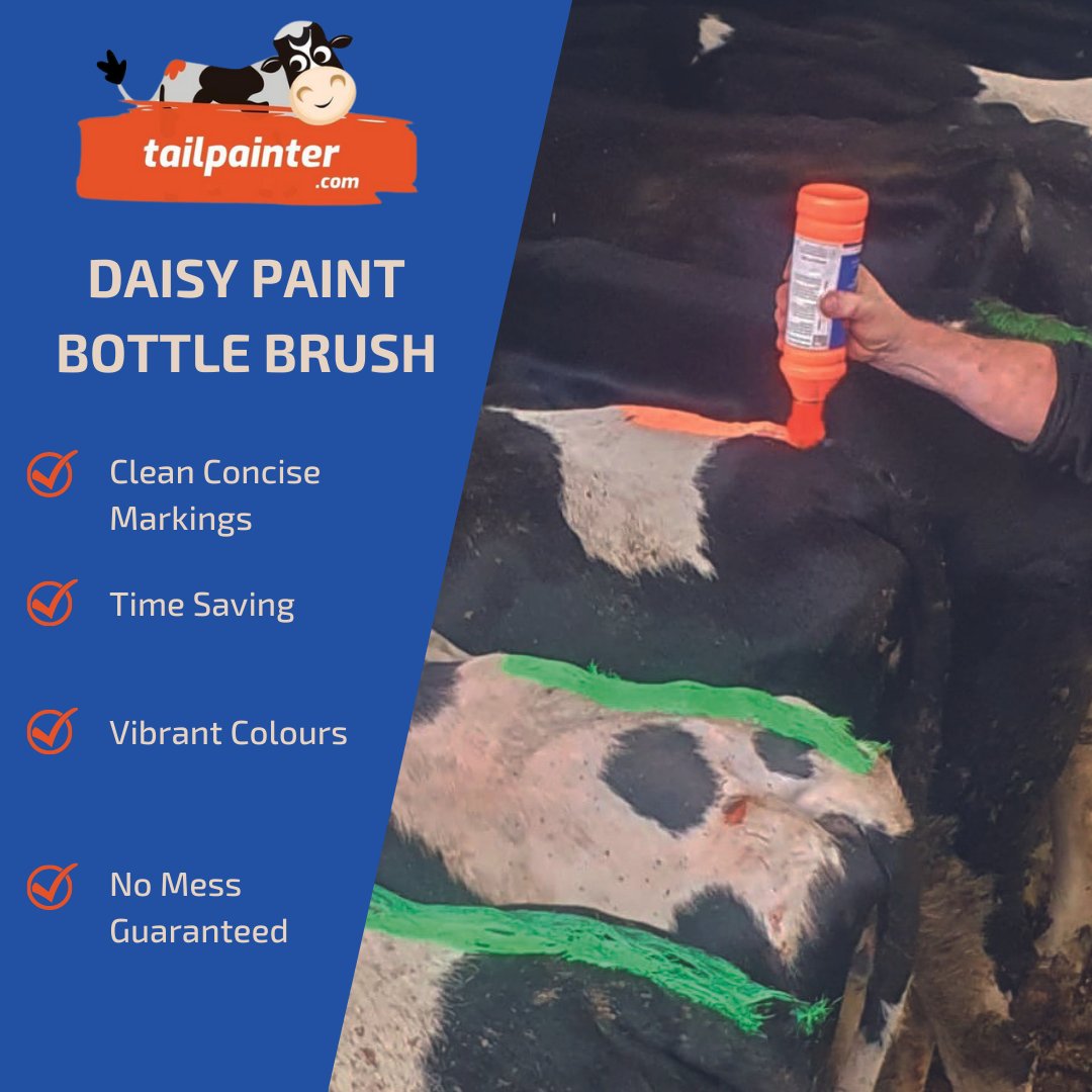 tailpainter's tweet image. Each marking the same ensuring farmers never miss a cow in heat!! 😀🐄
.
.
.
.
#tailpainting #bright #cows #dairyfarming #daisypaint #breeding #calving #farming