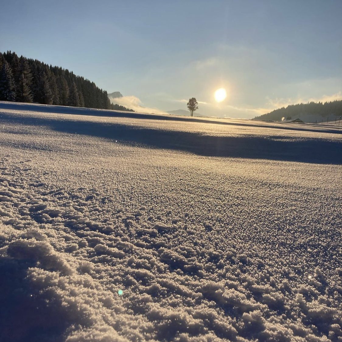 AllaisF's tweet photo. 🇫🇷Plateau des Glières❄️,            "Vivre libre ou mourir".                —————-📷sarandonne https://t.co/hbhjbV9b6x