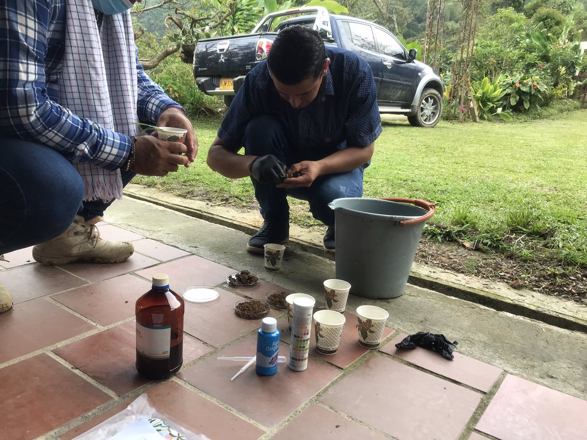 Ana Maria Ardila tweet media