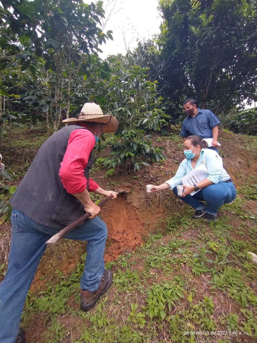 Ana Maria Ardila tweet media