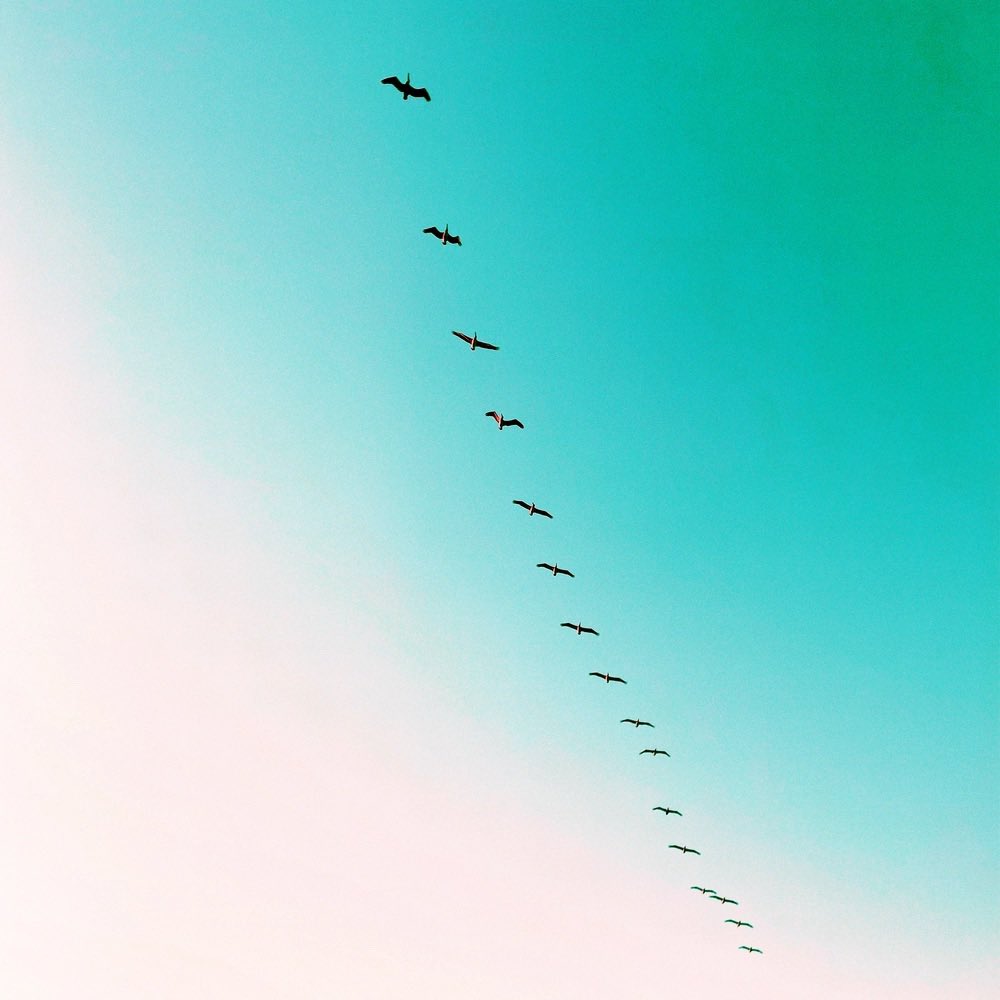 Yo <a href="/thugbirdz/">thugbirdz ¬¬</a> <a href="/thugDAO/">thugDAO | Stake w/ Jito+ThugDAO validator</a> @0x_thug - if these 2 remaining FLIGHTS sellout this weekend, I’ll donate FLIGHTS #10 to <a href="/thugDAO/">thugDAO | Stake w/ Jito+ThugDAO validator</a> to airdrop to a lucky holder. You in? exchange.art/collections/Fl…