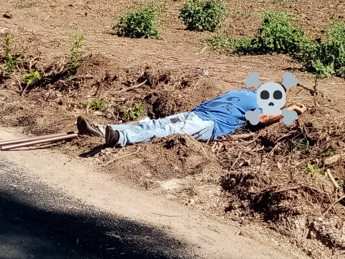 DESAPARECIDOS SOS, EL Salvador. tweet media