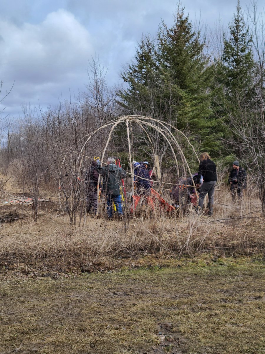 Honoured to be a part of building a Traditional Ojibwe Wiigiwaam today with Peel Halton Nature Collaborative and <a href="/YRnature/">York Region Nature</a>.