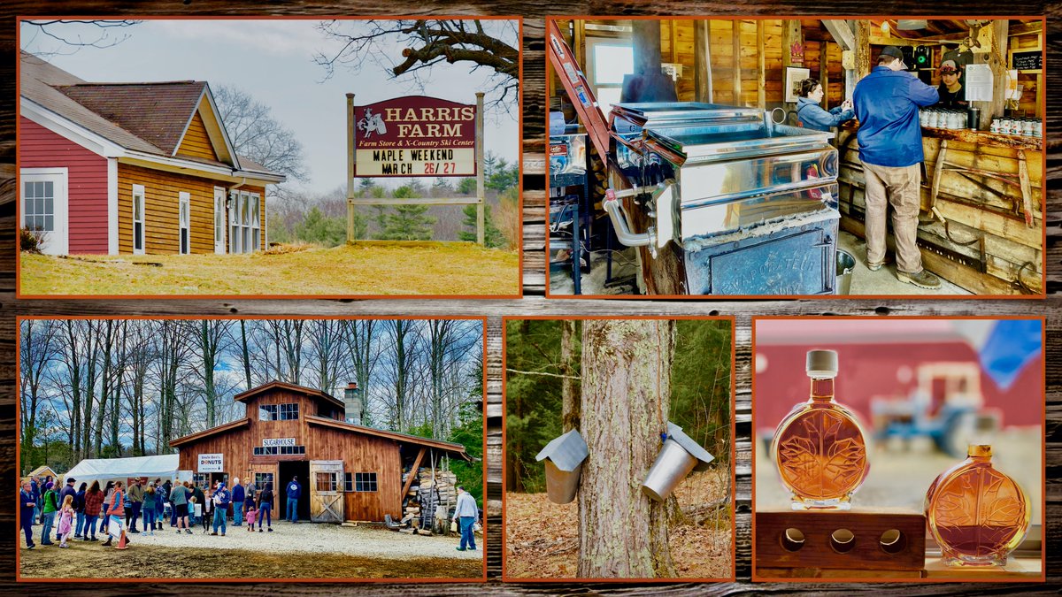FeliciaKKnight's tweet photo. #MaineMapleWeekend is almost half over! If you didn't take part today, have some fun tomorrow. Today, we hit 207Tappers in Arundel, Harris Farm in Dayton, and Cole Farms/Tim's Agway also in Dayton. We are ready and mapled for the year ahead! w/@TowleTompkins #MyDayInMaine https://t.co/AVUrCLxtx8