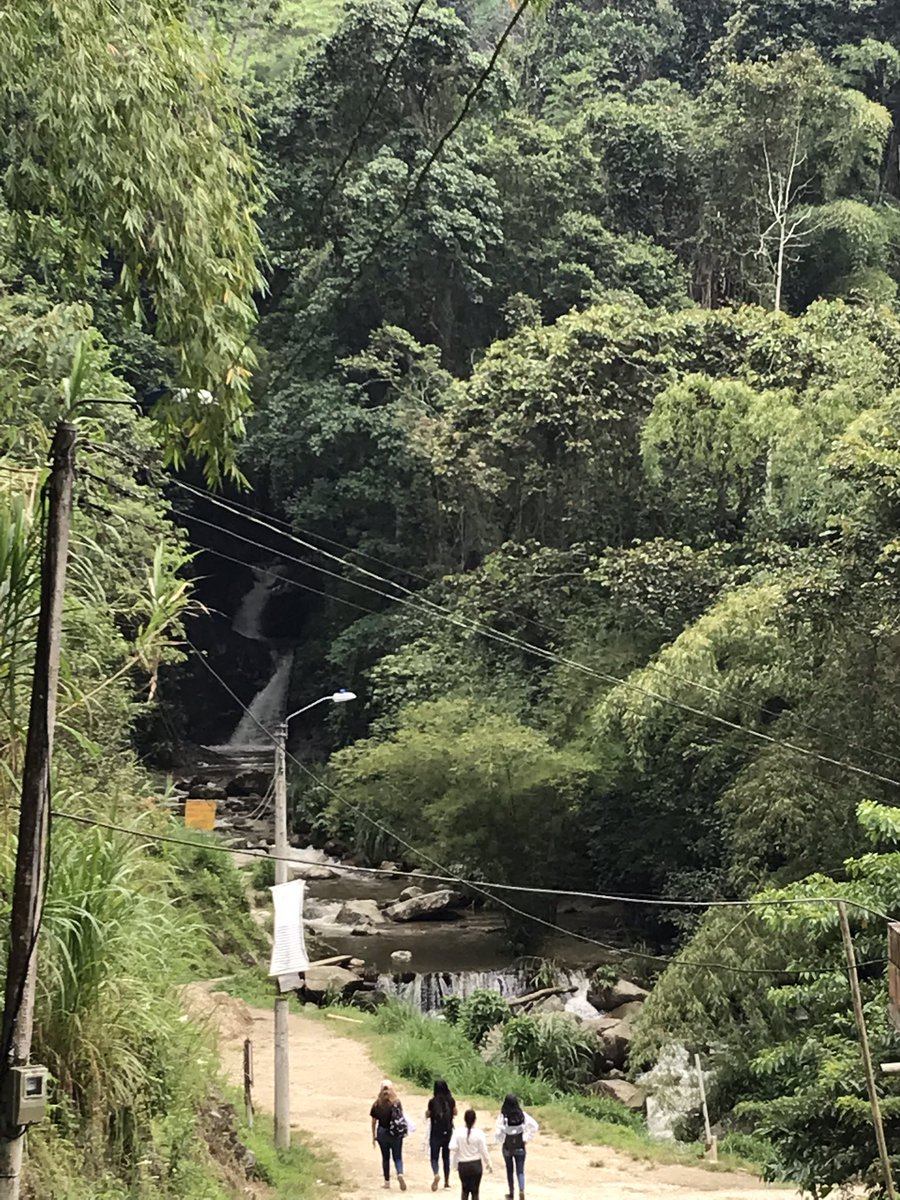 Ana Maria Ardila tweet media