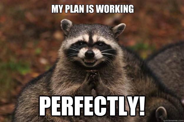 Borrowed Imagination tweet media