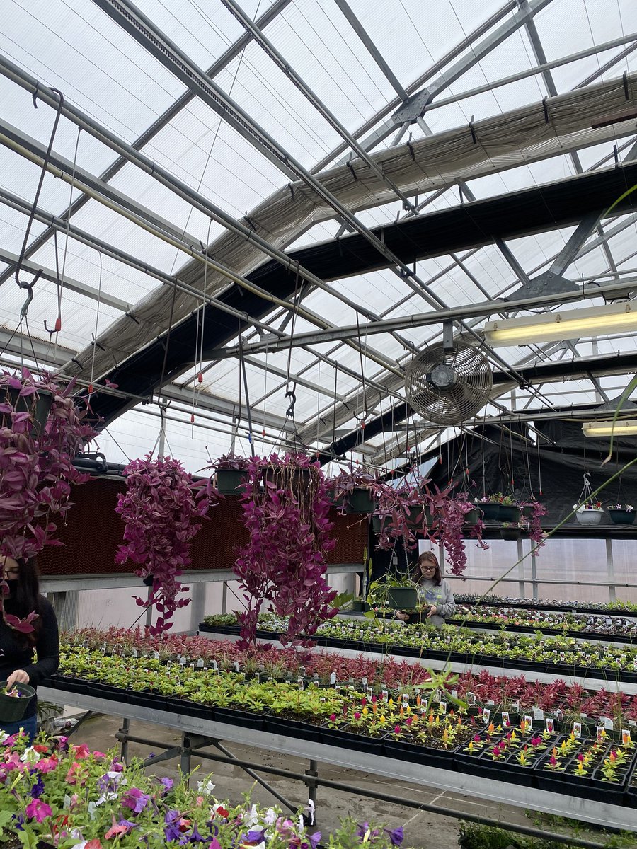 Torin Lynn tweet media