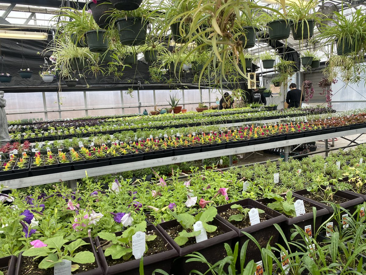 Torin Lynn tweet media