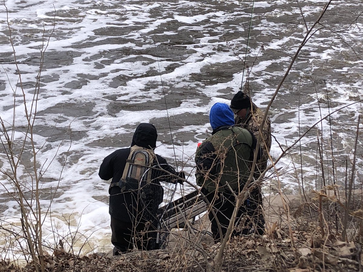 Susan Bence tweet media