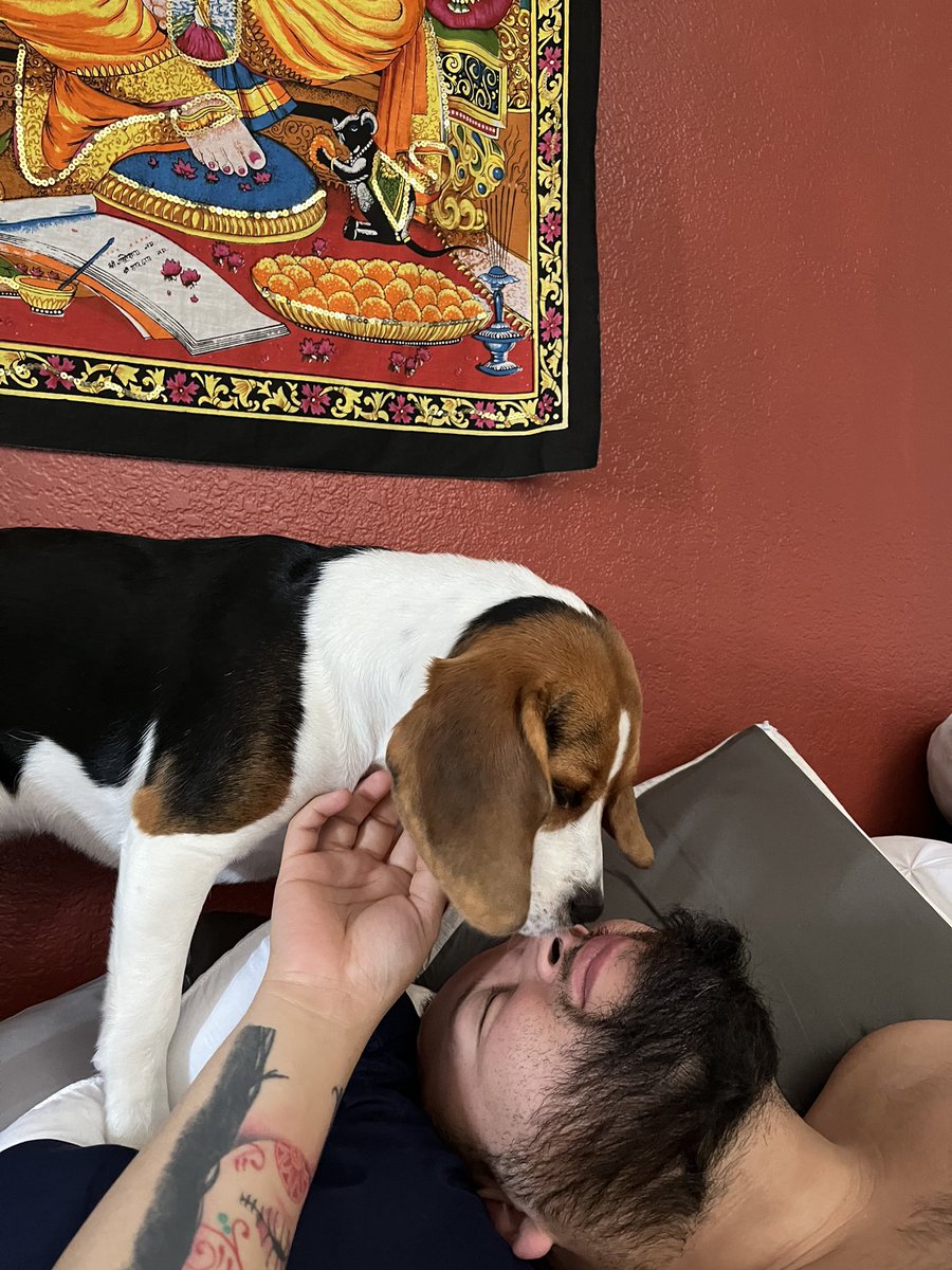 verga619's tweet photo. My morning 🐾 https://t.co/SBvHH7iYnJ