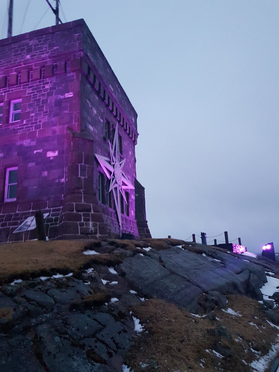 Epilepsy Newfoundland & Labrador tweet media