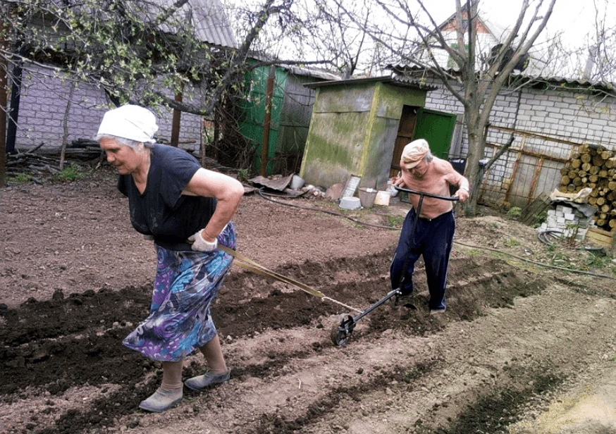 Subsistence farming is extremely unproductive. It's also extremely laborious and time consuming. It also requires competences that the youngsters simply lack. In the good economy expensive oil years they never learnt how to garden from their babushka and now won't learn quickly