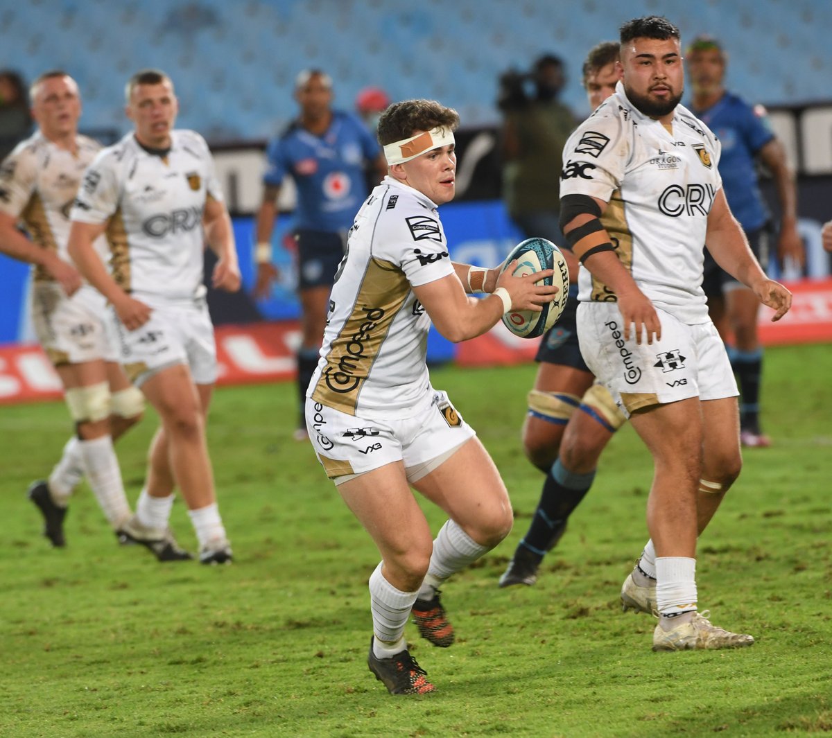 🐉DEBUT | Congratulations to 🐉 No.#311 on his senior debut today against <a href="/BlueBullsRugby/">Official Blue Bulls</a>...  

<a href="/__willreed/">Will Reed</a> 👏👏👏

#BringYourFire🔥