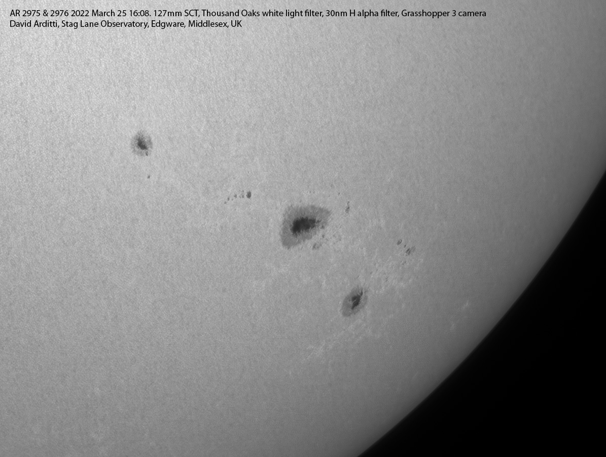 David Arditti tweet media