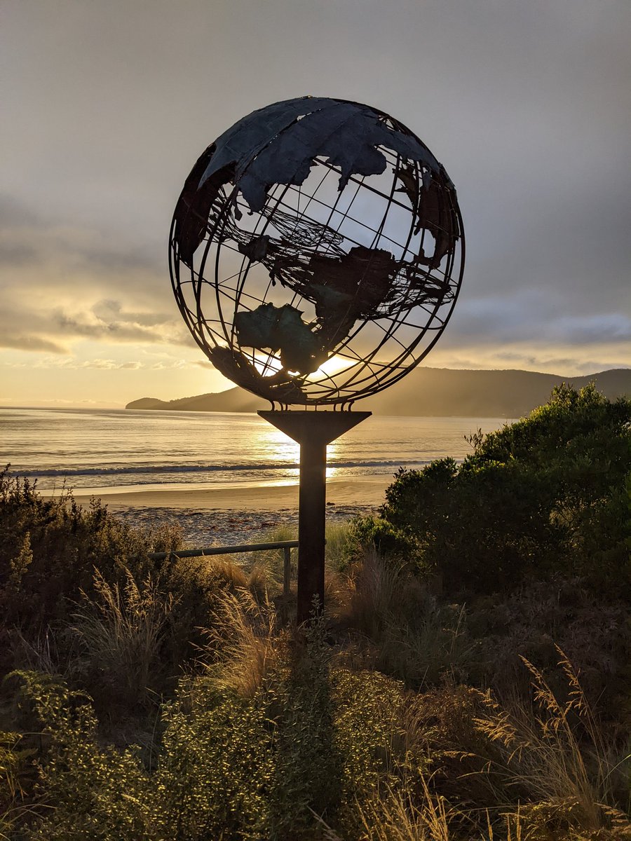 Catherine Young tweet media