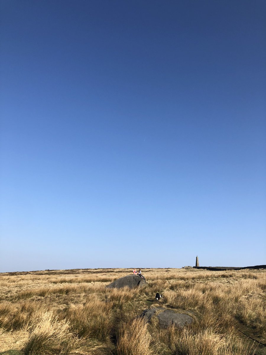 Jilly Taylor tweet media