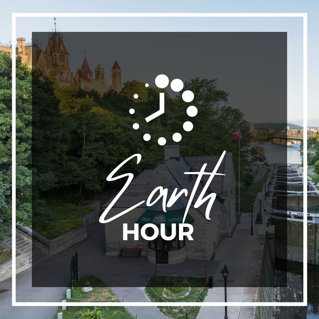 Tonight at 8:30pm, we will be turning off non essential lights and dimming our lobby in recognition of Earth Hour! 🌎 

How are you participating in Earth Hour this year? #Connect2Earth