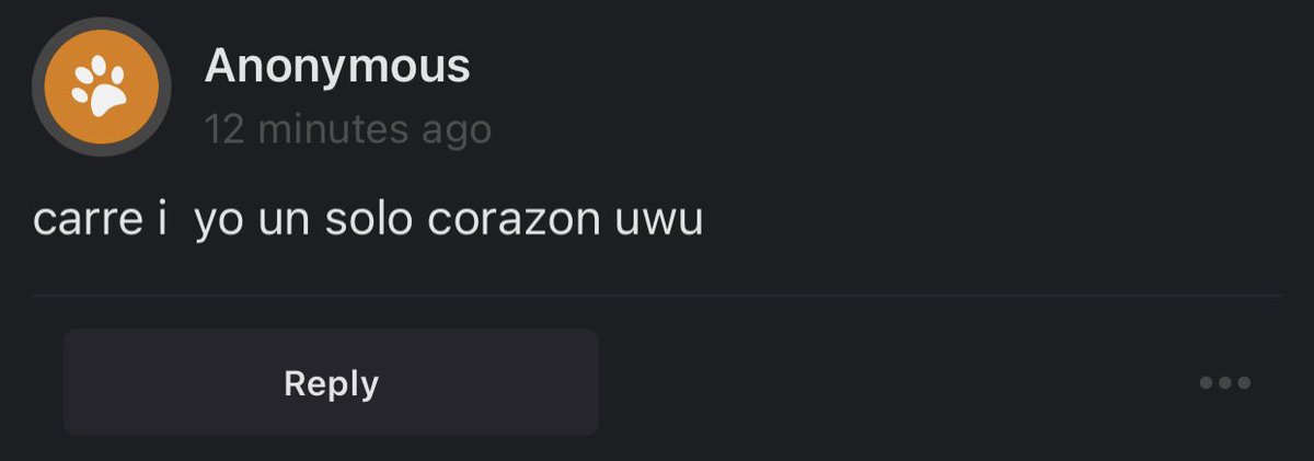 rodrivancc's tweet image. - 🐱