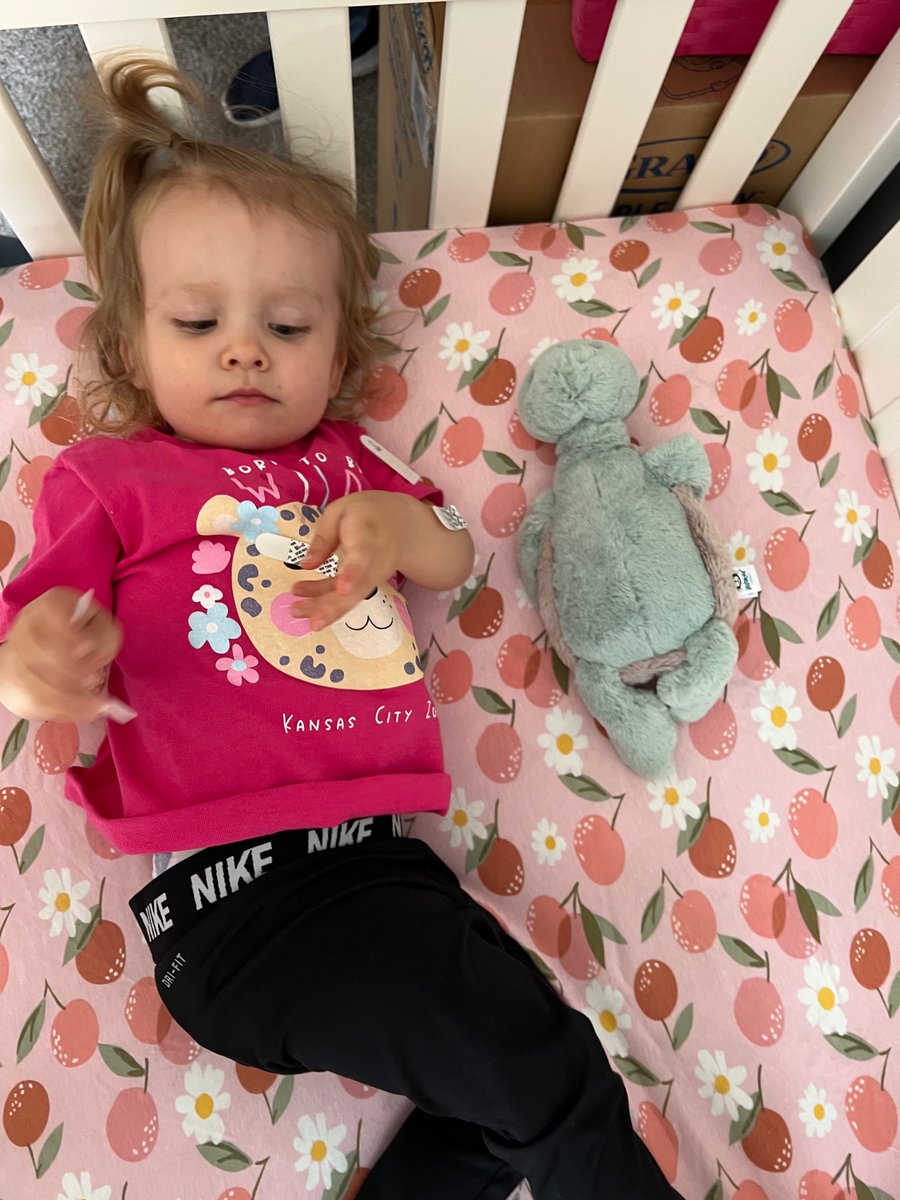 shaemariedodge's tweet photo. @jhaugen_10 And she tested out sis’s new crib to make sure it’s ready for her🤣 excited to see you two as parents! https://t.co/N92iePufya