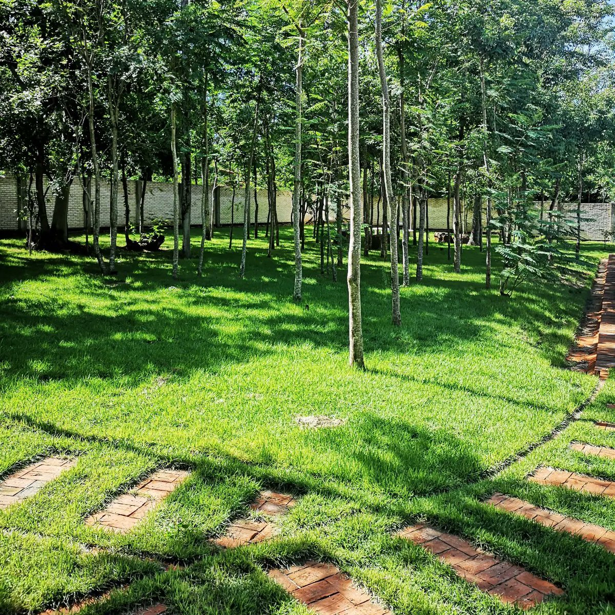 Gardentech tweet media