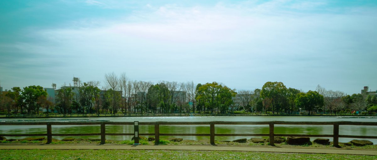 落ち着ける優しい風景🍀
A calm and gentle landscape.

#アニメの世界のような公園 #浮間公園 #青空 #水面 #japan_photogroup #japan_bestpic_ #Park