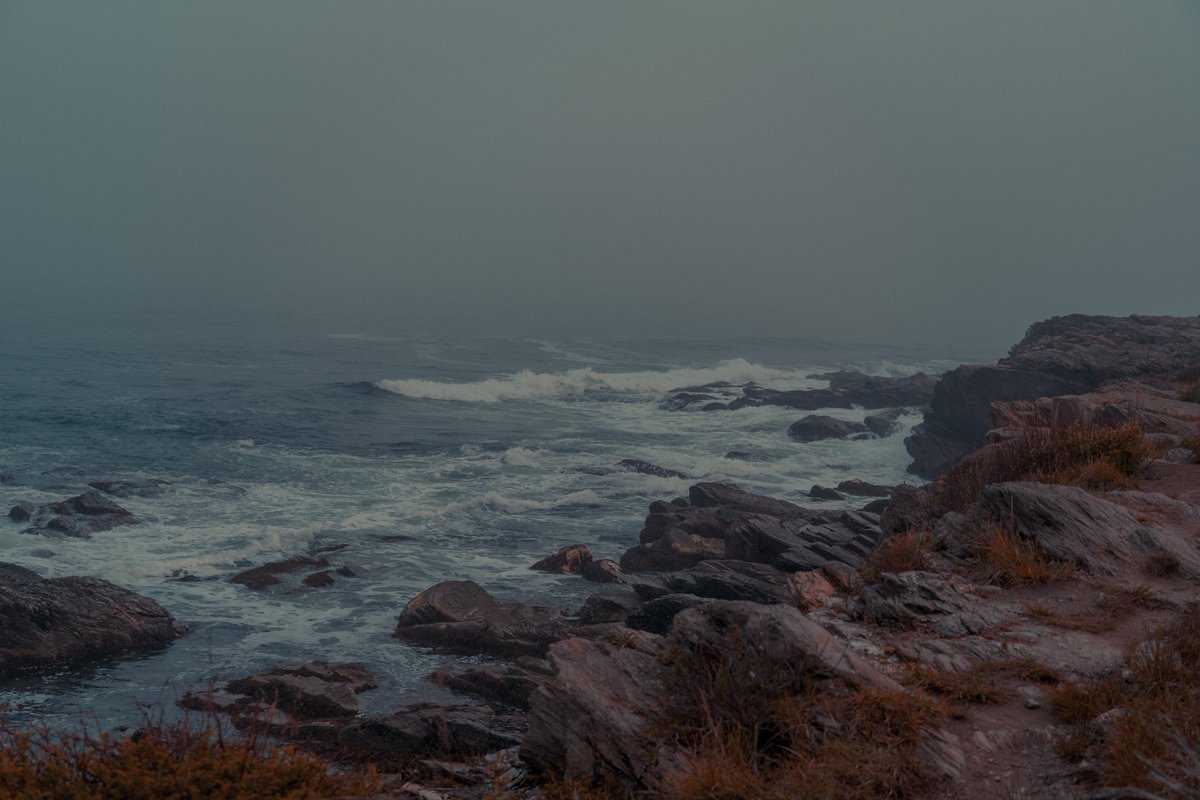 bryanpjackson's tweet photo. Wide Oceans Roar https://t.co/AD1l9iYhpe