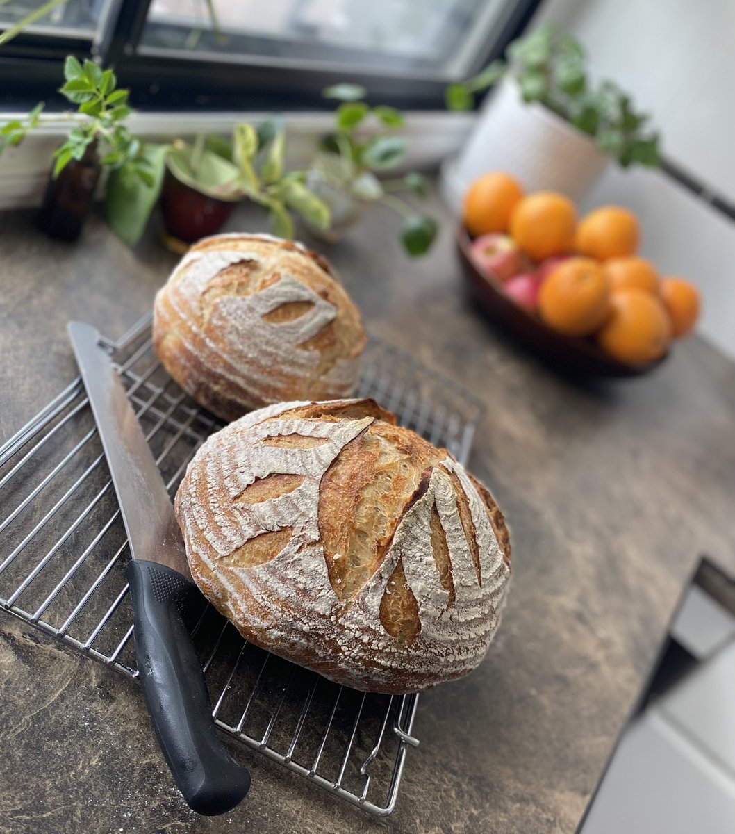 Sourdough…<a href="/Struggl_bus/">Strugglebus</a> <a href="/Scott_755/">Scott</a> pizza still to come…
