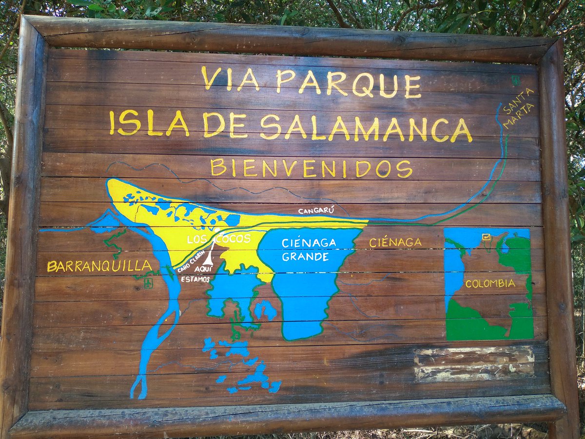 JohnnyCorcho14's tweet photo. Entrada al parque Salamanca, donde se hace manejo integral de los recursos Naturales MIRNEMCGSM@cm_botero @investigarcuc https://t.co/p1WY1iTqpo