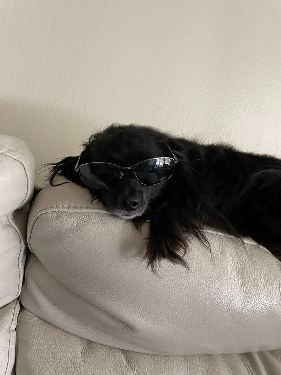 Ylti (@ylti) on Twitter photo 