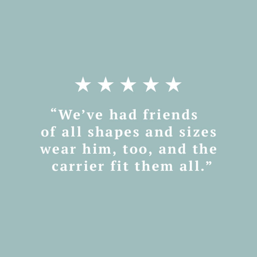 Just a few of the things parents have to say about the <a href="/lillebaby/">LÍLLÉbaby</a>! If you ❤️ Lille too, we'd love for you to share your experience over at lillebaby.com!