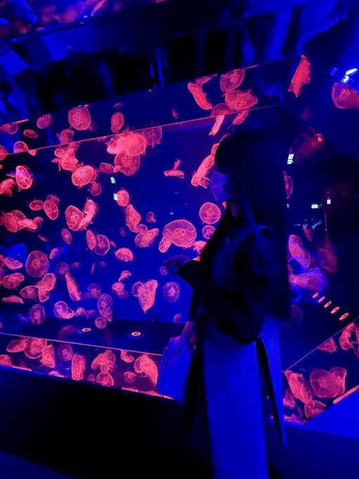 Twitterのコスプレ画像24