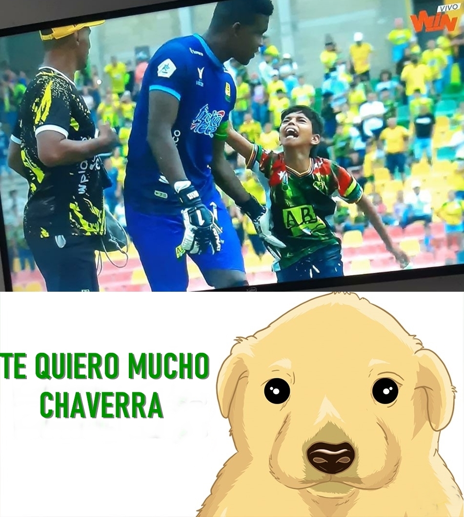 Bucaramangamigranpasión tweet media