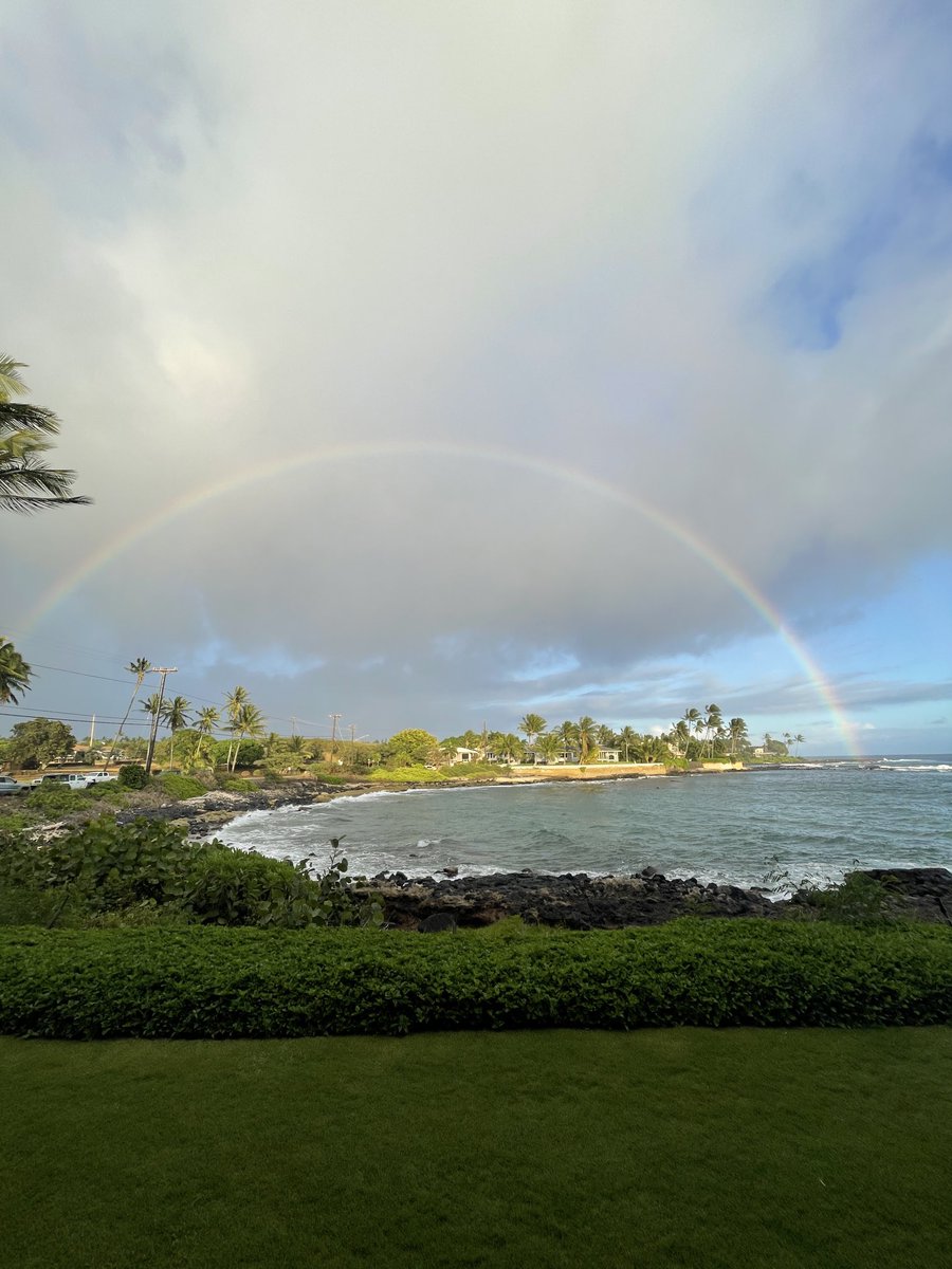 Dave Arute tweet media