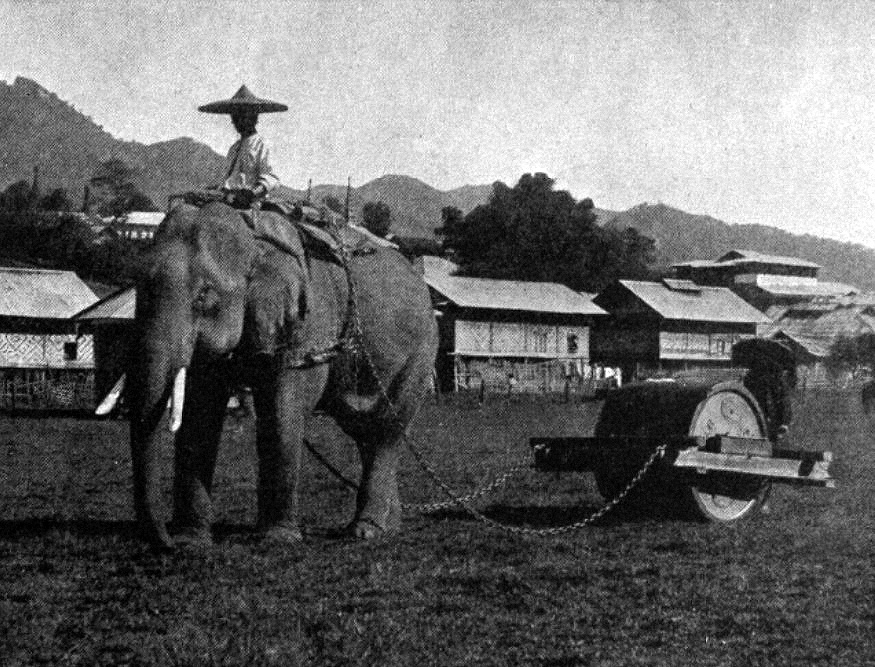 Historic Cricket Pictures tweet media