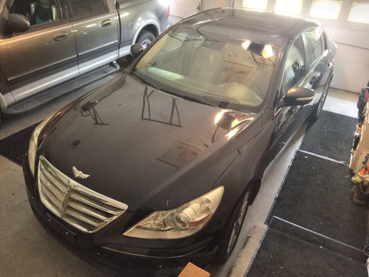 AsuariFoxstein's tweet photo. Out of Curiosity: has anyone seen these around perchance? This is my 2010 Hyundai Genesis, amd I just wanted to see how many are around I guess. I never seen a Genesis till I got one XD https://t.co/qw2est2BXw