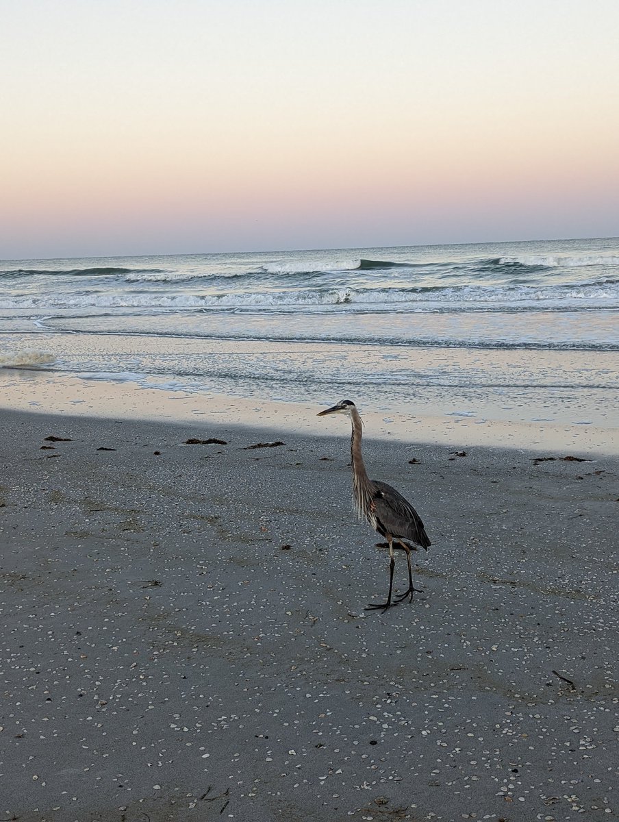 Nebraskangooner tweet media