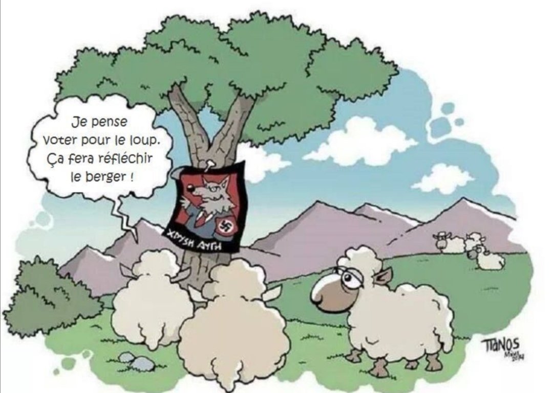 FP-20cAXoAswDHd?format=jpg&name=medium