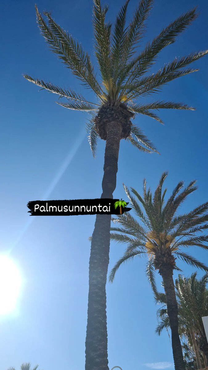 hamalainen44's tweet photo. Kai sitä oppii ilman lehmiäkin elämään.. https://t.co/9LqFtQaGb1